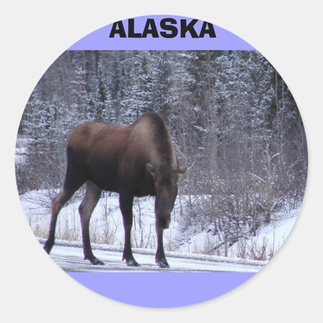 Alaska Moose Runder Aufkleber (Vorderseite)