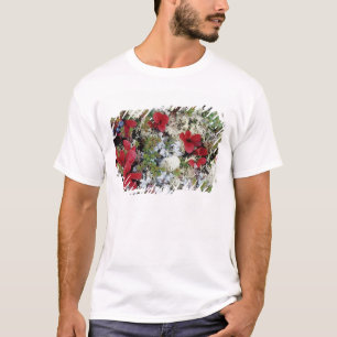 Alaska, Nationalpark Denali, Arktische Tundra ist T-Shirt