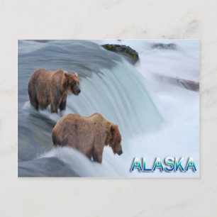 Alaska Postcard Postkarte