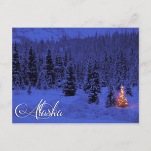 Alaska Postcard Postkarte