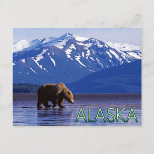 Alaska Postcard Postkarte