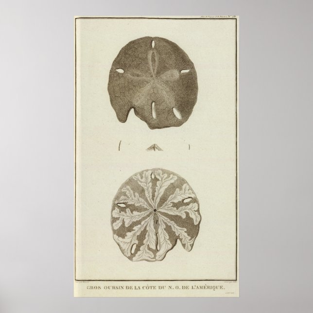 Alaska Poster (Vorne)