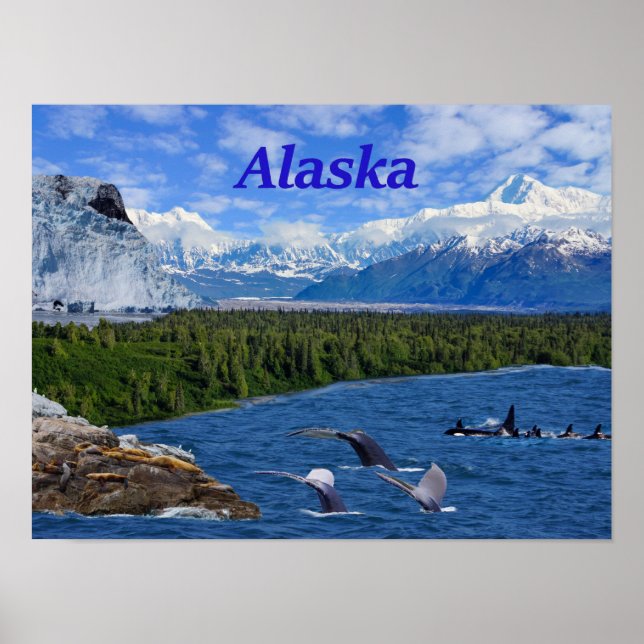 Alaska Poster (Vorne)