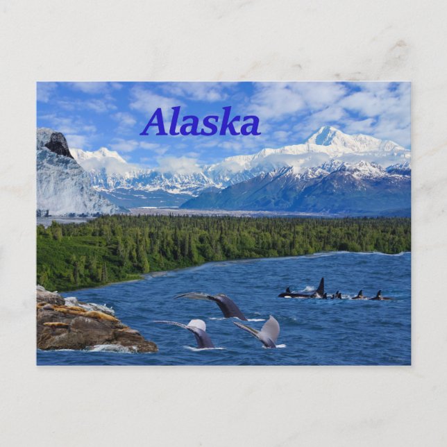 Alaska Postkarte (Vorderseite)