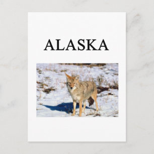 Alaska Postkarte