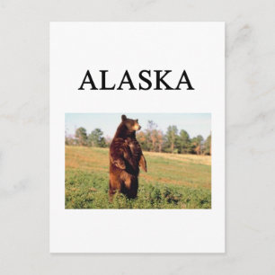 Alaska Postkarte