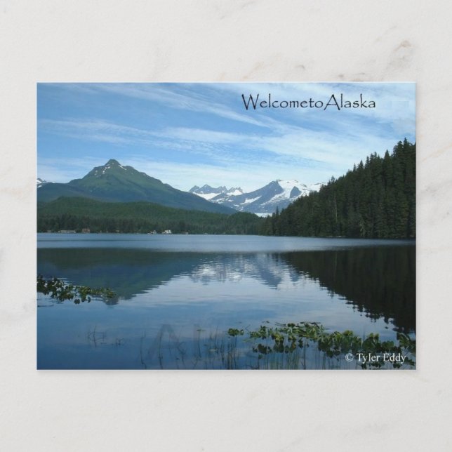 Alaska-Postkarte Postkarte (Vorderseite)