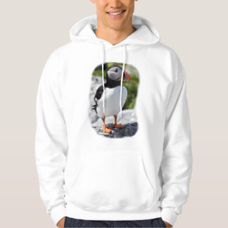 Alaska Puffins füttern farbenfrohe Vögel Hoodie