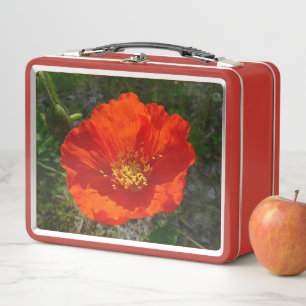 Alaska-Rote Mohnblume Farbige Blume Metall Brotdose