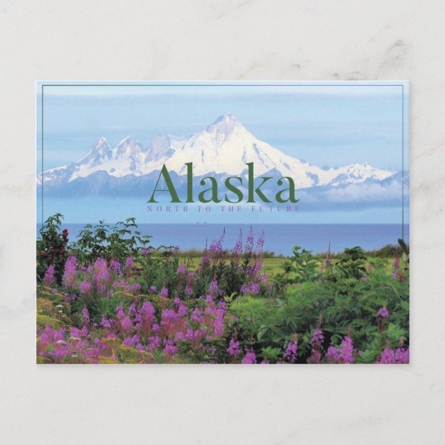 Alaska Schöne Natur Postkarte (Vorderseite)