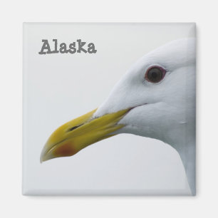 Alaska Seagull Magnet