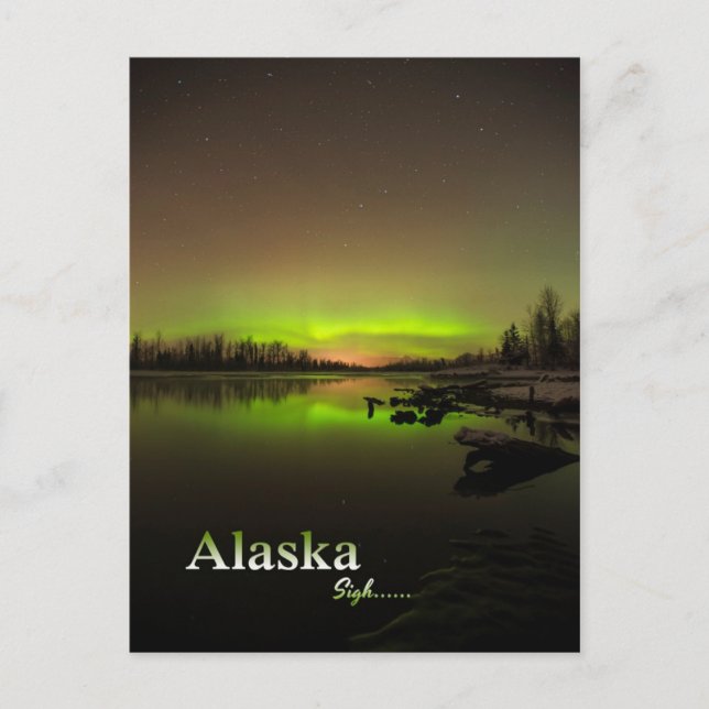 Alaska Sigh.... Postkarte (Vorderseite)