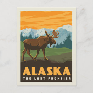 Alaska The Last Frontier - Moose Postkarte