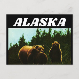 ALASKA VINTAG GRIZZLY BEAR POSTCARD POSTKARTE