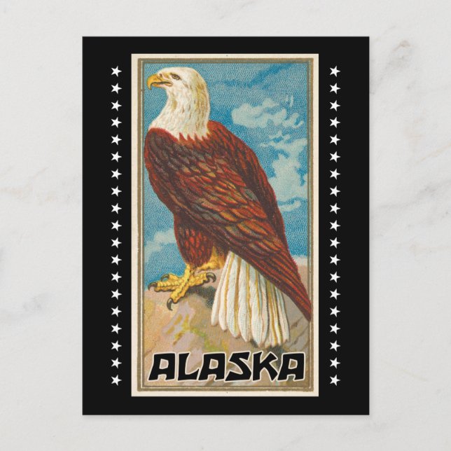 Alaska - Vintager Adler Postkarte (Vorderseite)