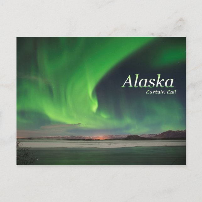 Alaska-Vorhang-Ruf Postkarte (Vorderseite)