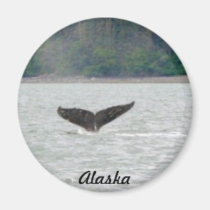 Alaska-Wal-Schwanz Magnet