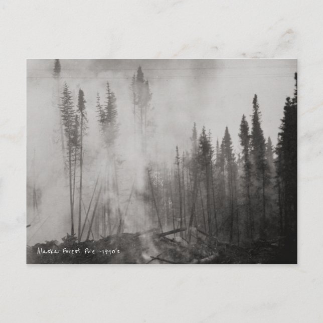 Alaska-Waldbrand in den 40er Jahren Postkarte (Vorderseite)