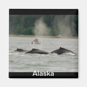Alaska-Wale Magnet