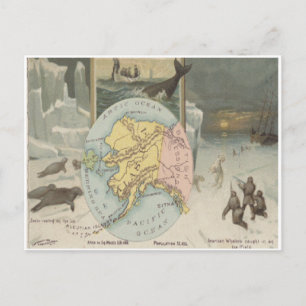 Alaska-Walfänger Robben Eisbären Vintage Postkarte