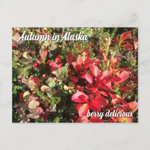 Alaska Wildberry Postcard Postkarte