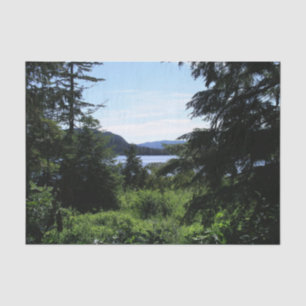 Alaskalandschaft Schöne Alaska-Fotografie Seidenpapier