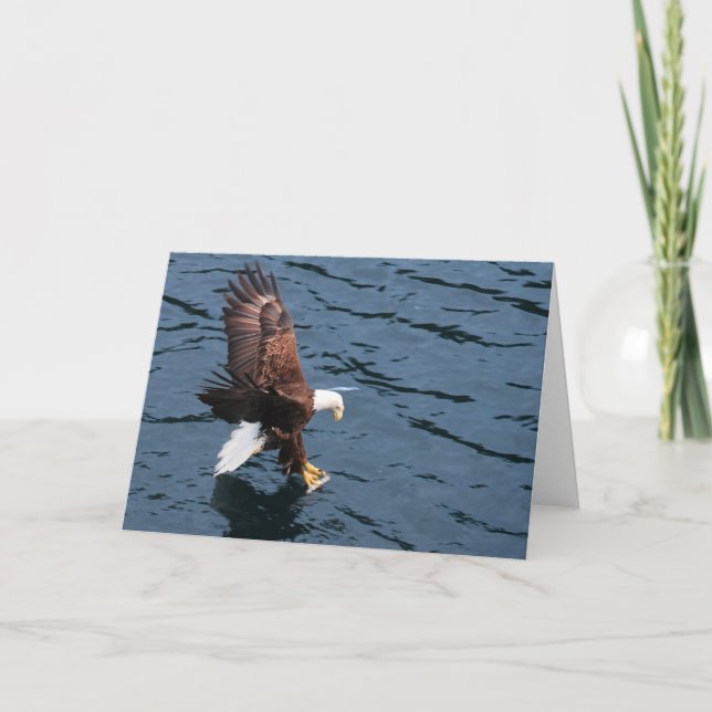 Alaskan Adler im Wasser Karte (Vorderseite)
