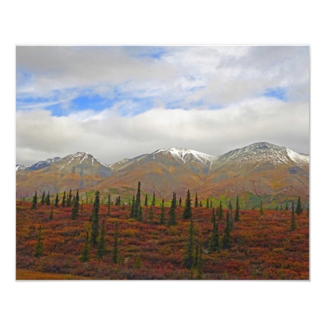 Alaskan Adventure - Landschaft #9 Fotodruck (Vorne)