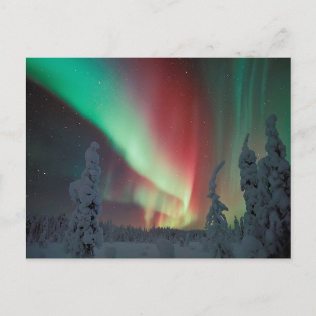 Alaskan Aurora Borealis Postkarte (Vorderseite)