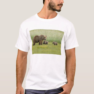 Alaskan Brown Bären Sow und drei Cubs, Ursus T-Shirt