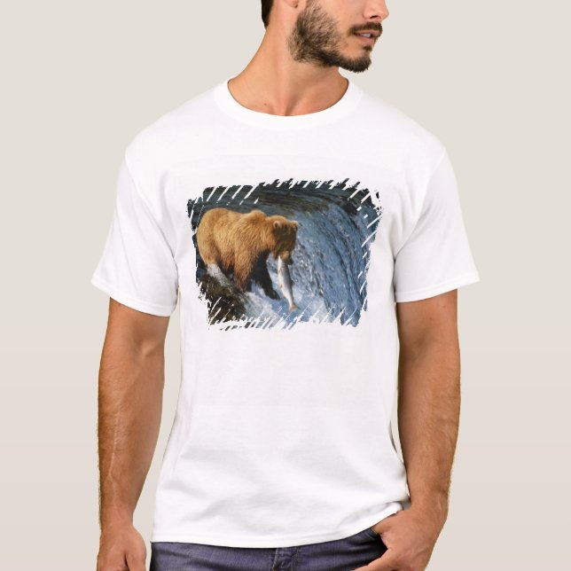 Alaskan Brown Bear Fangen von Lachs bei Brooks T-Shirt (Vorderseite)
