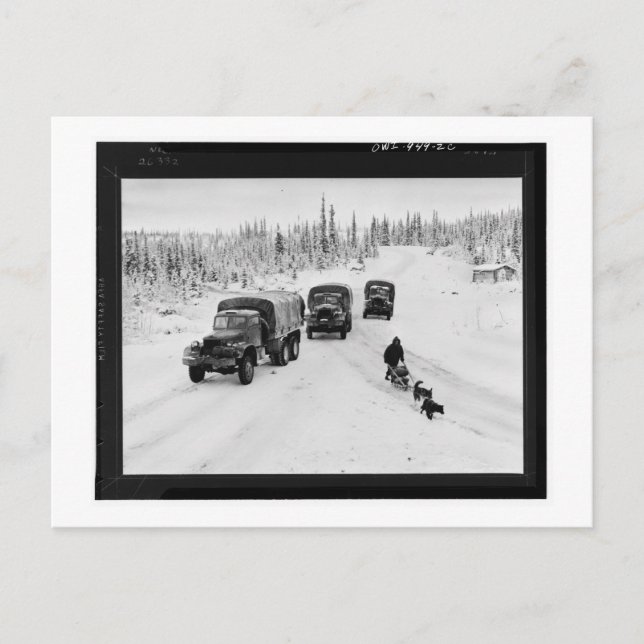 Alaskan Dogsled & Army Trucks Postkarte (Vorderseite)