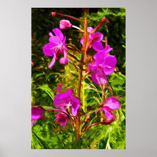 Alaskan Fireweed Pink Wildblume Abstrakt Poster (Vorne)