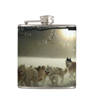 Alaskan Husky Dog Sled Race Flachmann