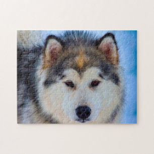 Alaskan Husky Hund.