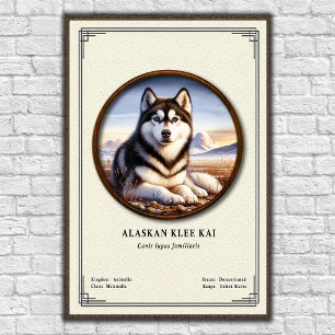 Alaskan Klee Kai Zoologie-Serie Poster