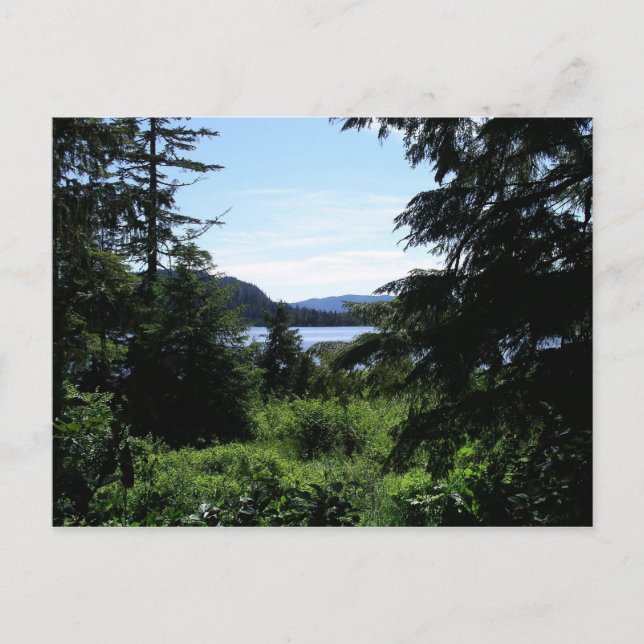 Alaskan Landschaft Schöne Alaska Fotografie Postkarte (Vorderseite)
