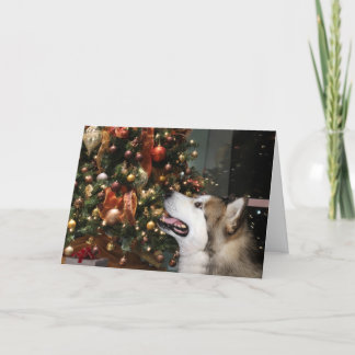 Alaskan Malamute Christmas Feiertagskarte