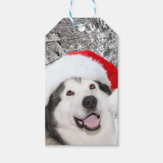 Alaskan Malamute Christmas Geschenkanhänger