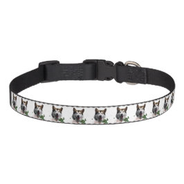 Alaskan Malamute Christmas Haustierhalsband