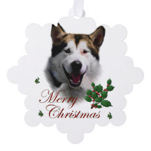 Alaskan Malamute Christmas