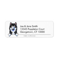 Alaskan Malamute Clean n Simple