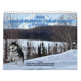 Alaskan Malamute Club of America Calendar 2025 Kalender