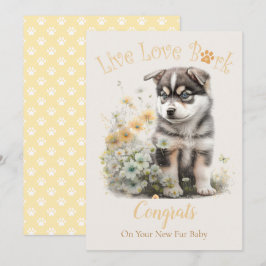 Alaskan Malamute Dog Adoption, Gotcha Tag Karte