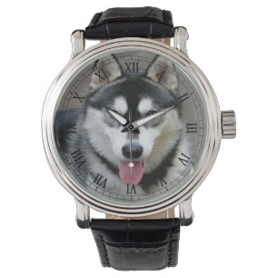 Alaskan Malamute Dog Foto Armbanduhr