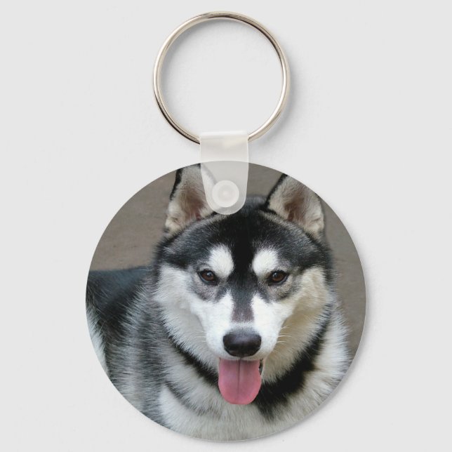 Alaskan Malamute Dog Foto Schlüsselanhänger (Vorderseite)