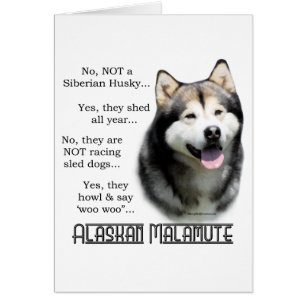 Alaskan Malamute FAQ