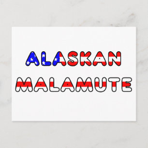 Alaskan Malamute Flagge im Namen Postkarte
