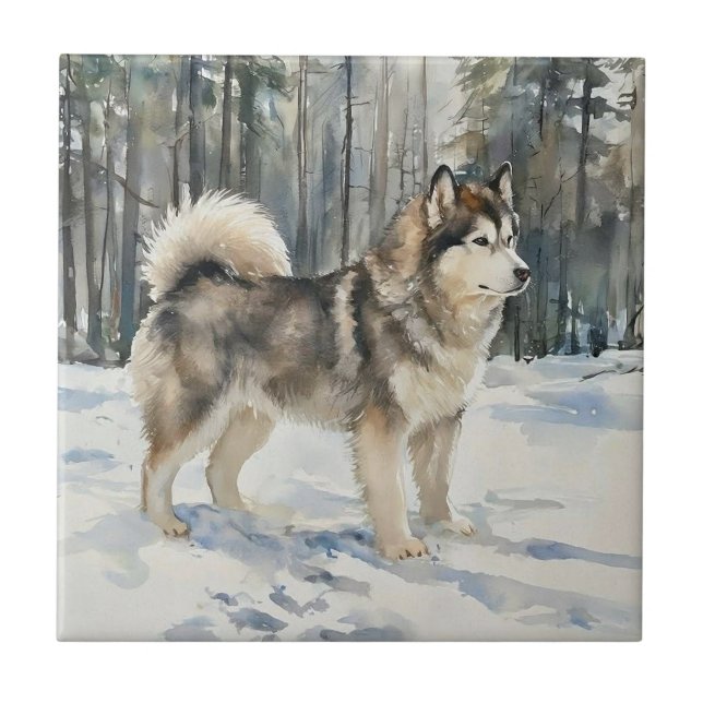 Alaskan Malamute Fliese (Vorderseite)