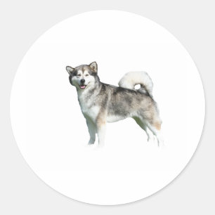 alaskan malamute full.png runder aufkleber